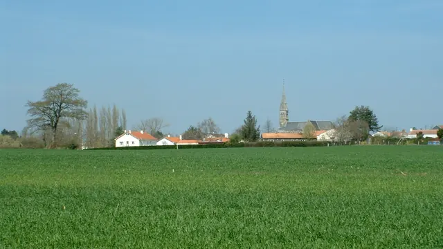 Photo de Chauvé