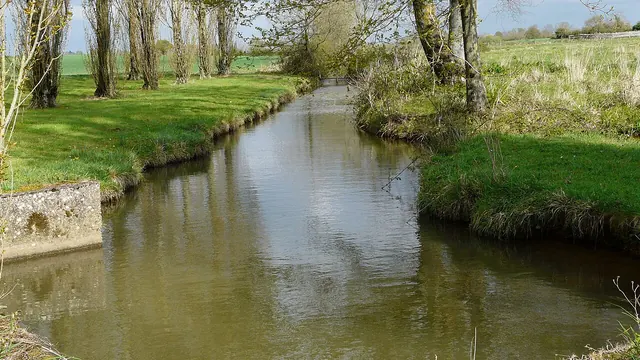 Photo de Mésanger