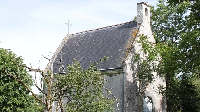 Photo de Teillé