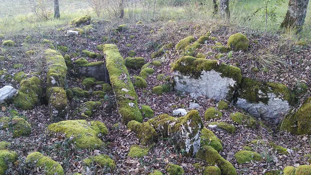 Photo de Théminettes