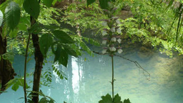 Photo de Touzac