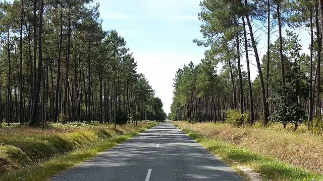 Photo de Boussès