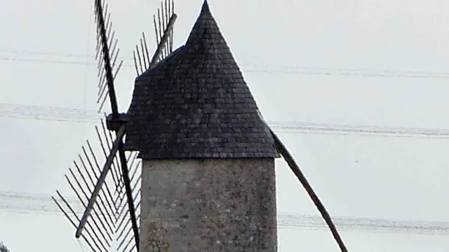 Photo de Cuq