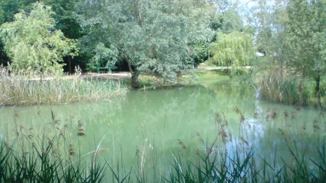 Photo de Foulayronnes