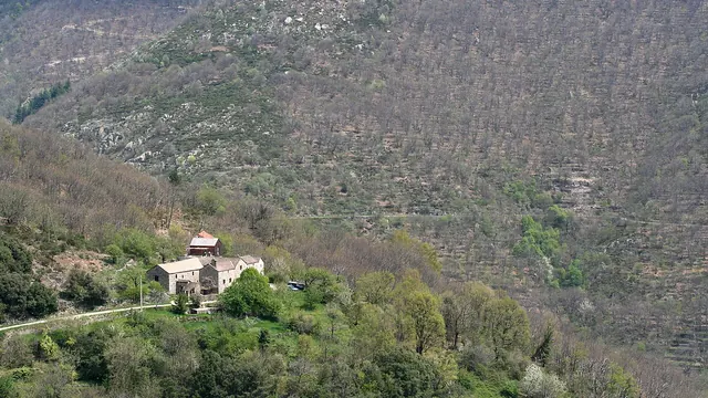 Photo de Pied-de-Borne