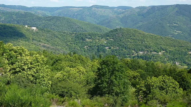 Photo de Sainte-Croix-Vallée-Française