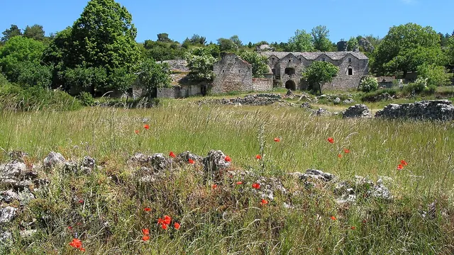 Photo de Saint-Rome-de-Dolan