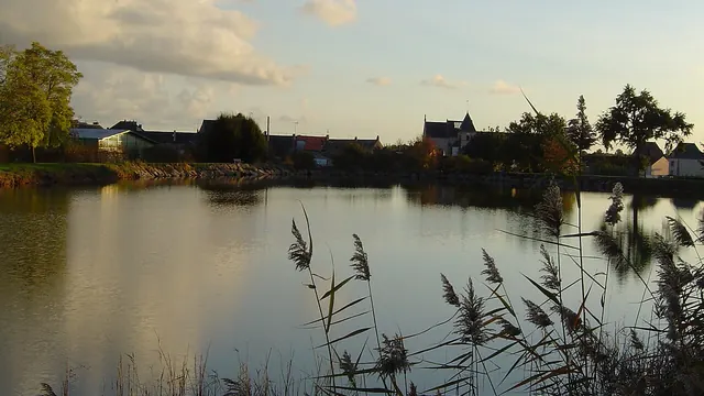 Photo de Les Cerqueux