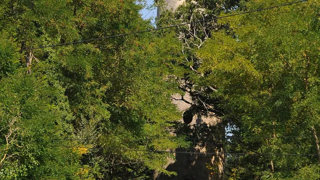 Photo de Cornillé-les-Caves
