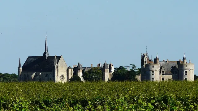 Photo de Montreuil-Bellay