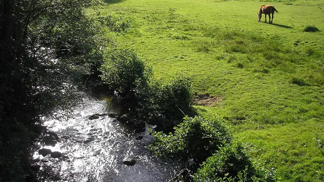 Photo de Saint-Georges-de-Rouelley