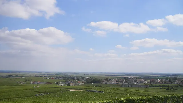 Photo de Avize