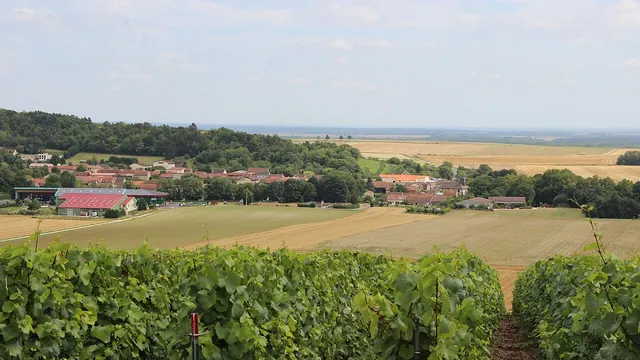 Photo de Bassuet