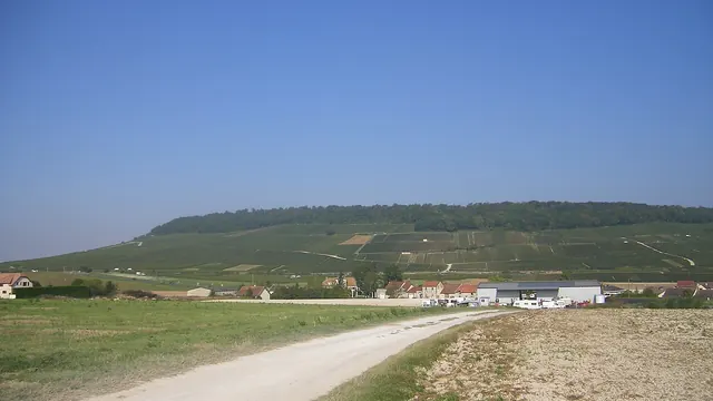 Photo de Bergères-lès-Vertus