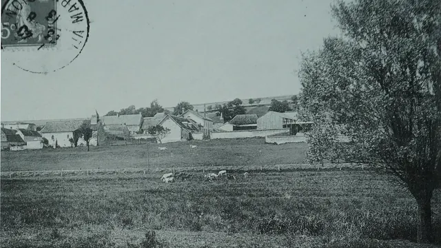 Photo de Bouleuse