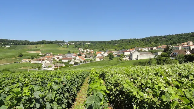 Photo de Champillon