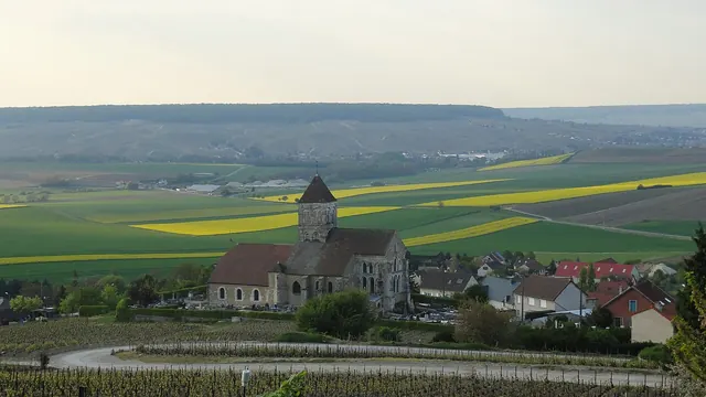 Photo de Cuis