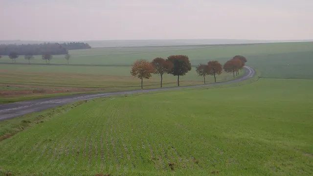 Photo de Faux-Vésigneul