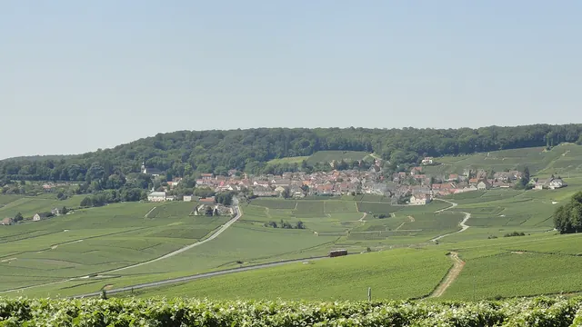 Photo de Hautvillers