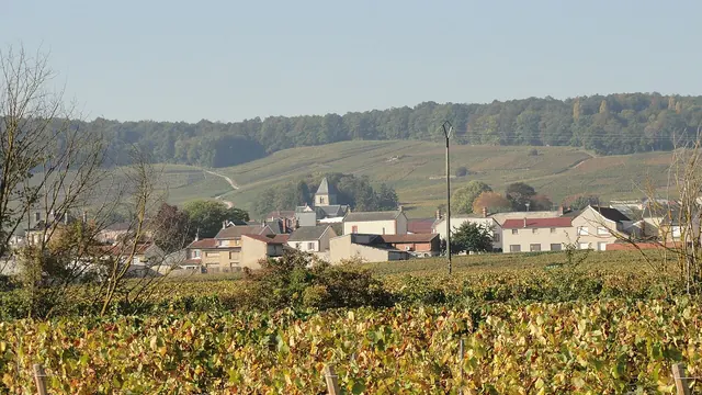Photo de Le Mesnil-sur-Oger