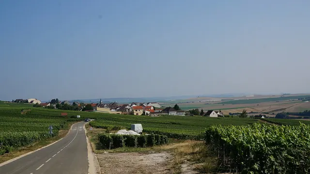 Photo de Monthelon