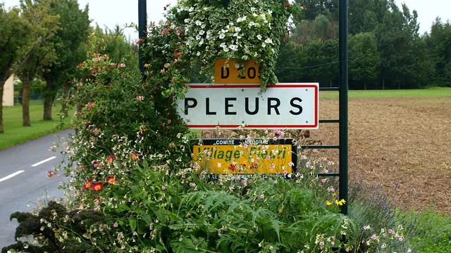 Photo de Pleurs