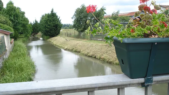 Photo de Saint-Remy-en-Bouzemont-Saint-Genest-et-Isson