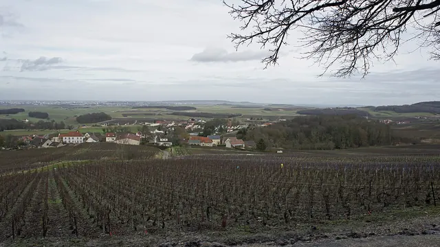 Photo de Sermiers