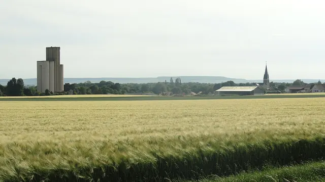 Photo de Tours-sur-Marne