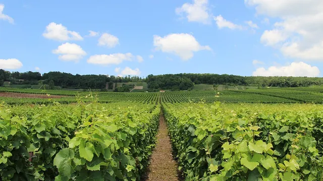Photo de Venteuil