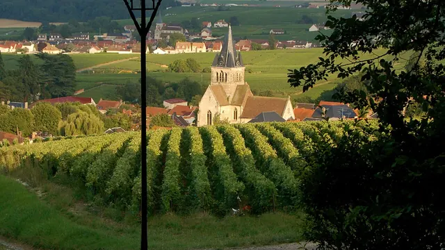 Photo de Ville-Dommange