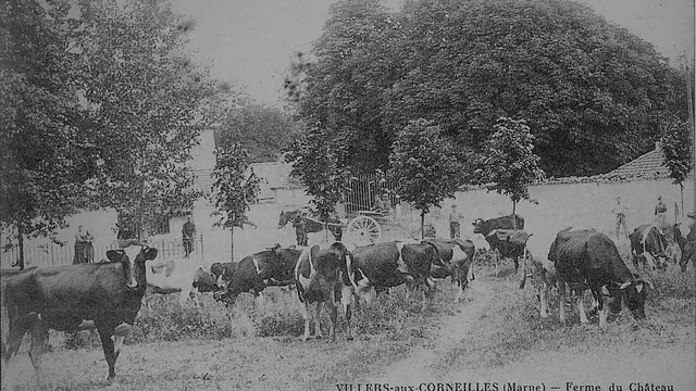 Photo de Villiers-aux-Corneilles