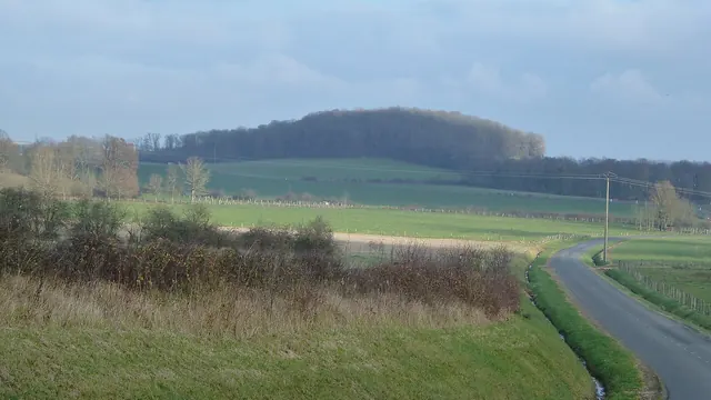 Photo de Vroil