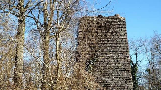 Photo de Laneuville-au-Pont