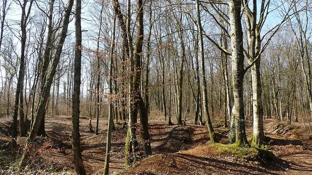 Photo de Montreuil-sur-Thonnance
