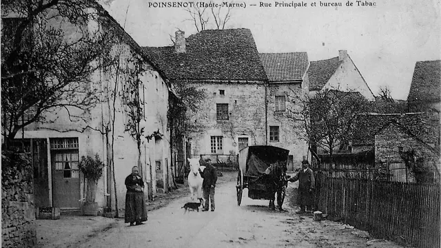 Photo de Poinsenot
