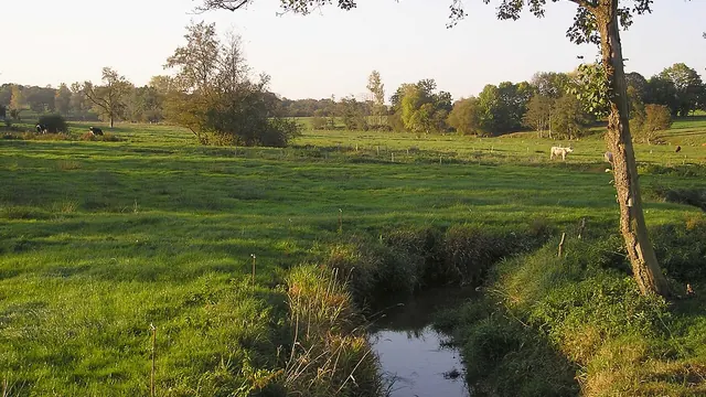 Photo de Désertines