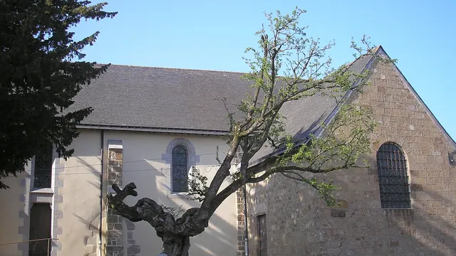 Photo de Saint-Mars-sur-la-Futaie