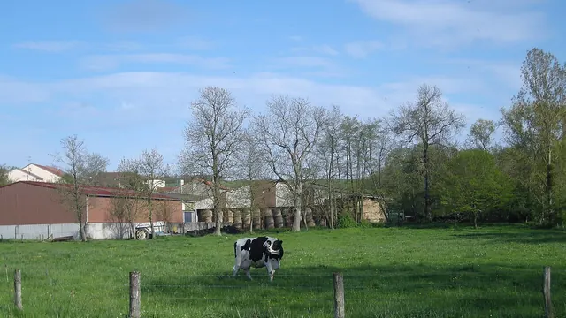 Photo de Bralleville