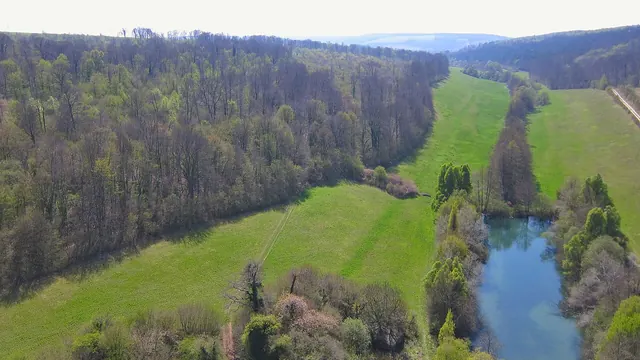 Photo de Lamorville