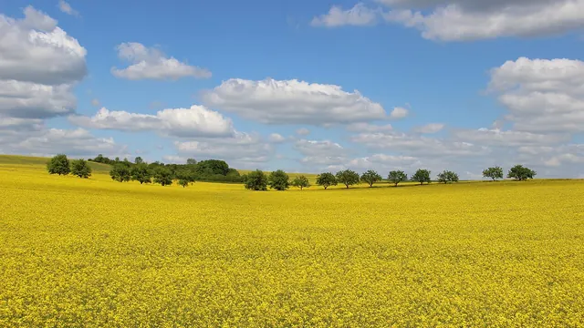 Photo de Longchamps-sur-Aire
