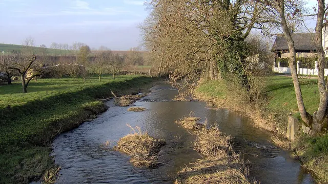 Photo de Ménil-sur-Saulx