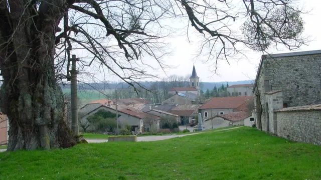 Photo de Saulvaux
