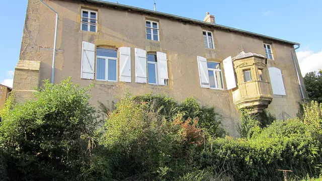 Photo de Fèves