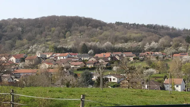Photo de Plesnois