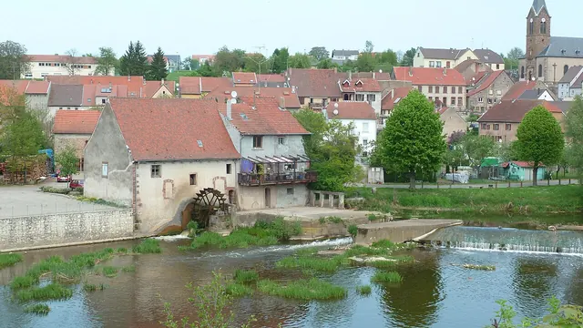 Photo de Sarreinsming