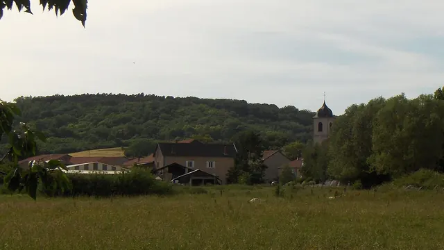 Photo de Vaxy
