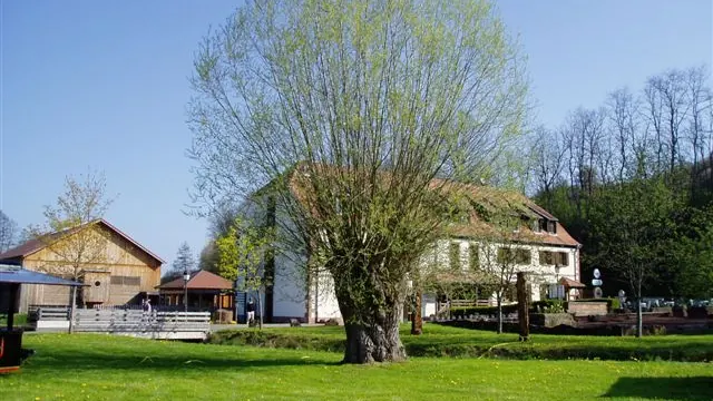 Photo de Volmunster