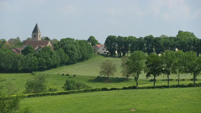 Photo de Lys