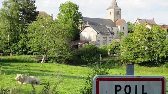 Photo de Poil